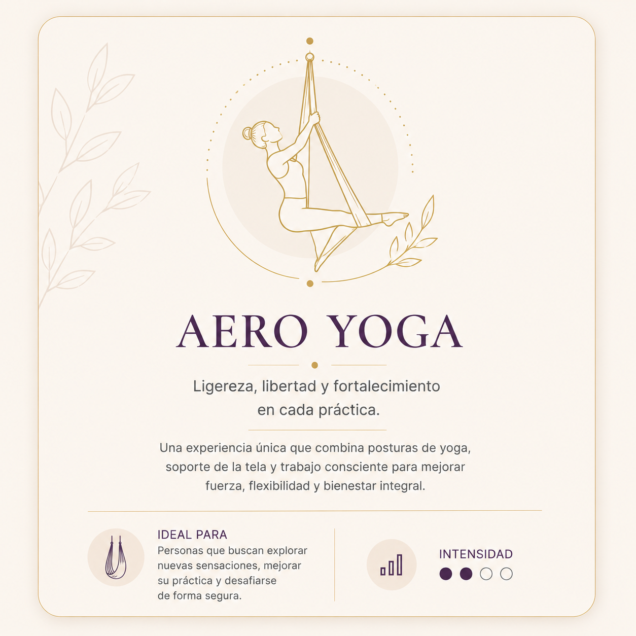 Aero Yoga