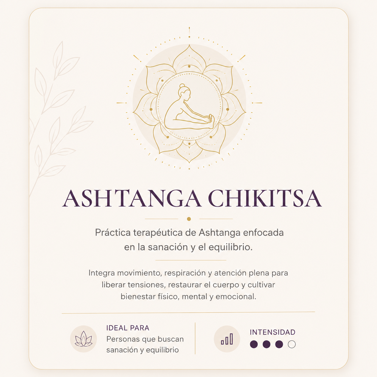 Ashtanga Chikitsa